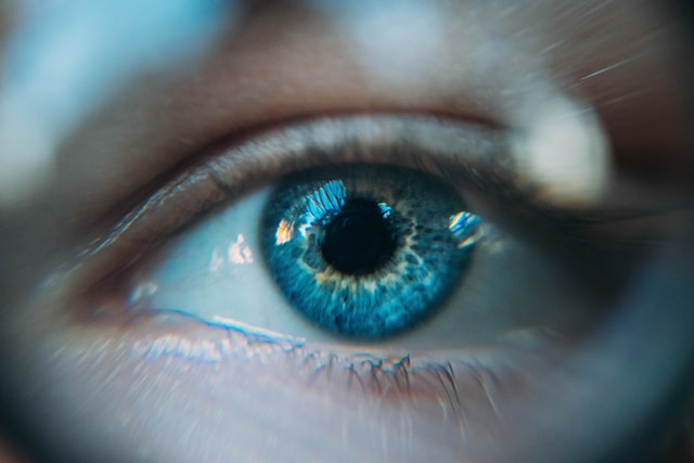 Продукты для здоровья глаз: как питаться, чтобы сохранить зрение