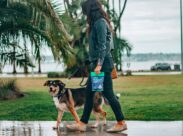 Прогулянка для зниження рівня стресу