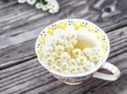 заспокійливі чаї - фото 3