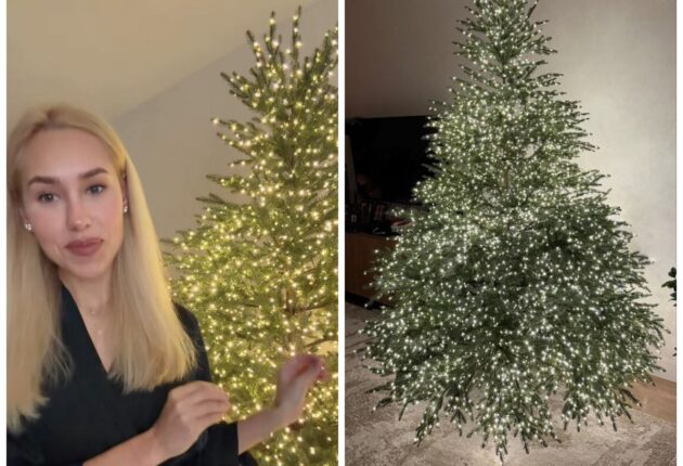 Даша Квіткова та її ялинка